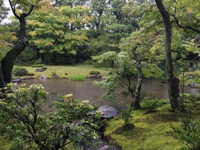 Discover Japanese gardens in Kyoto with a garden specialist