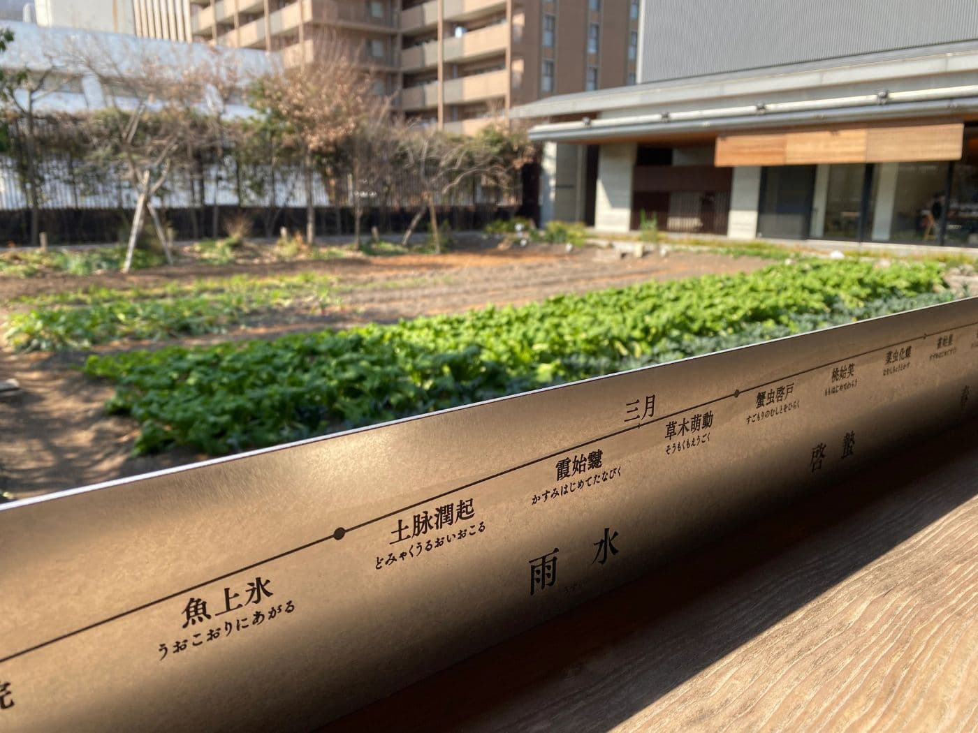 Vegan Temari Sushi Experience in Kyoto