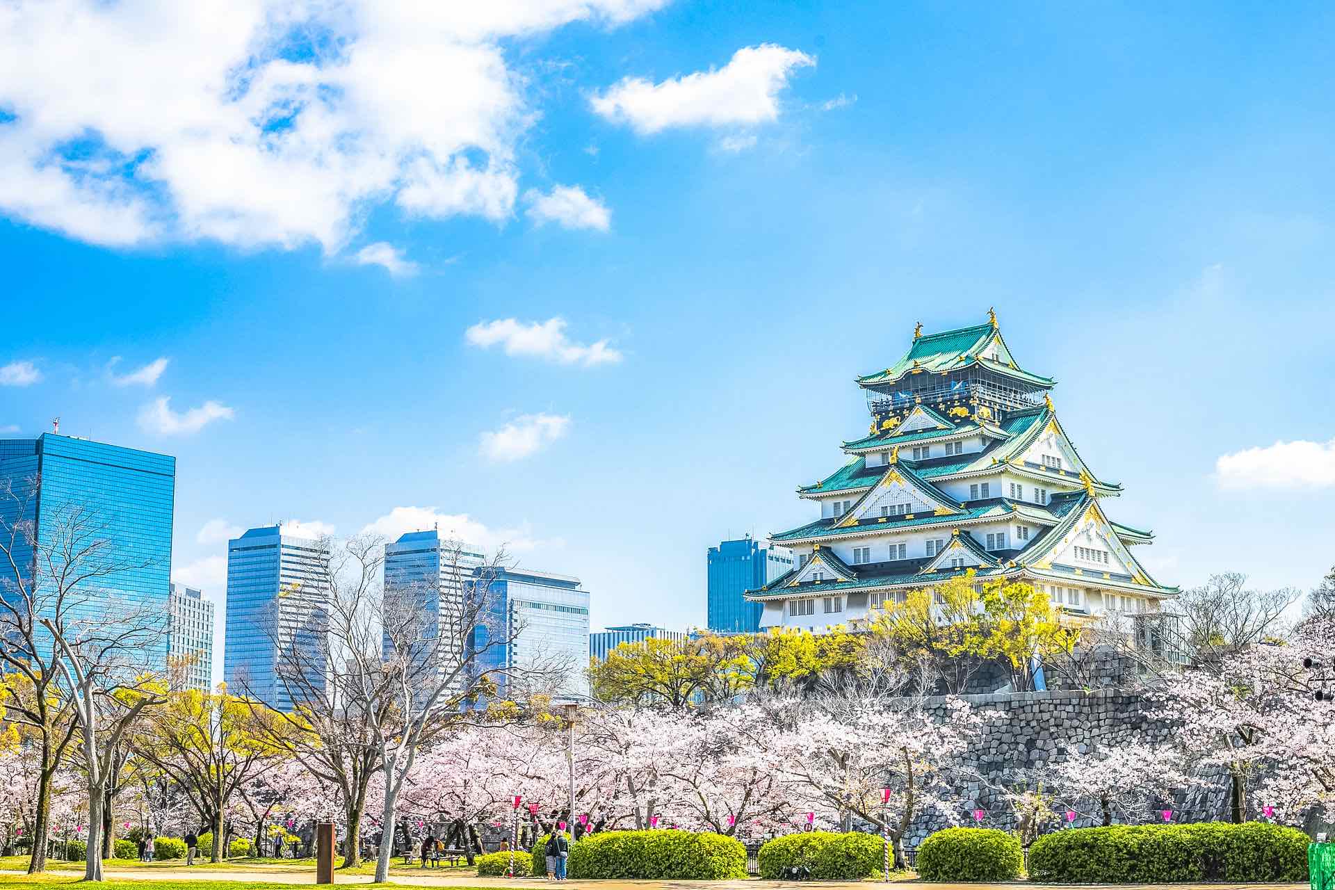 Discover Osaka, Private and Customisable Tour