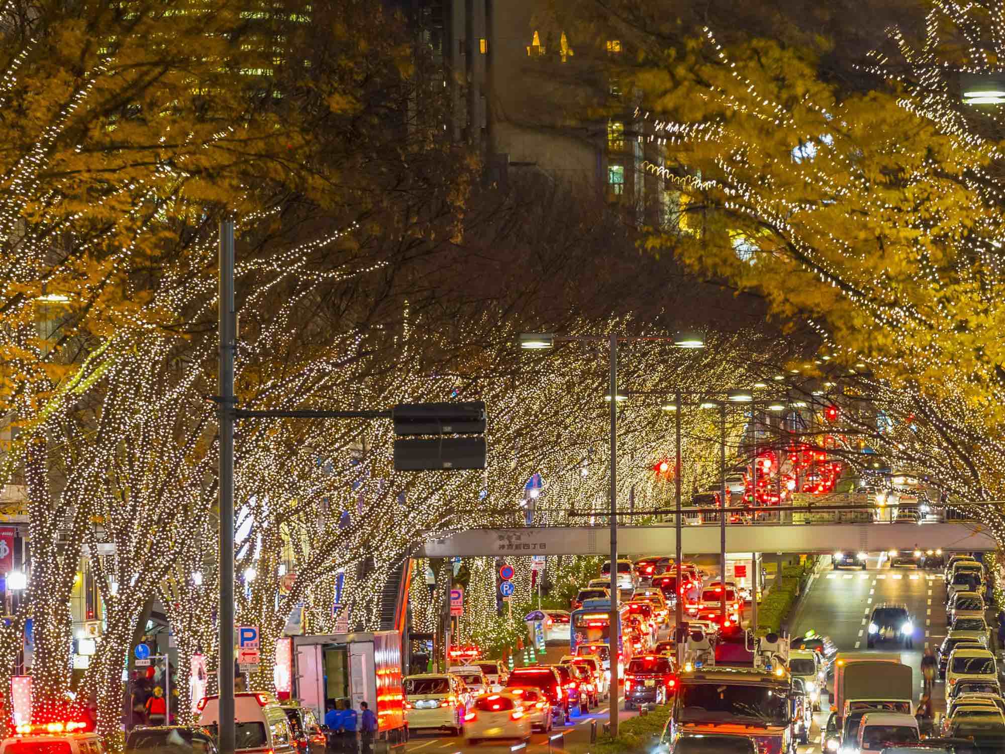 Tokyo Private Day Trip