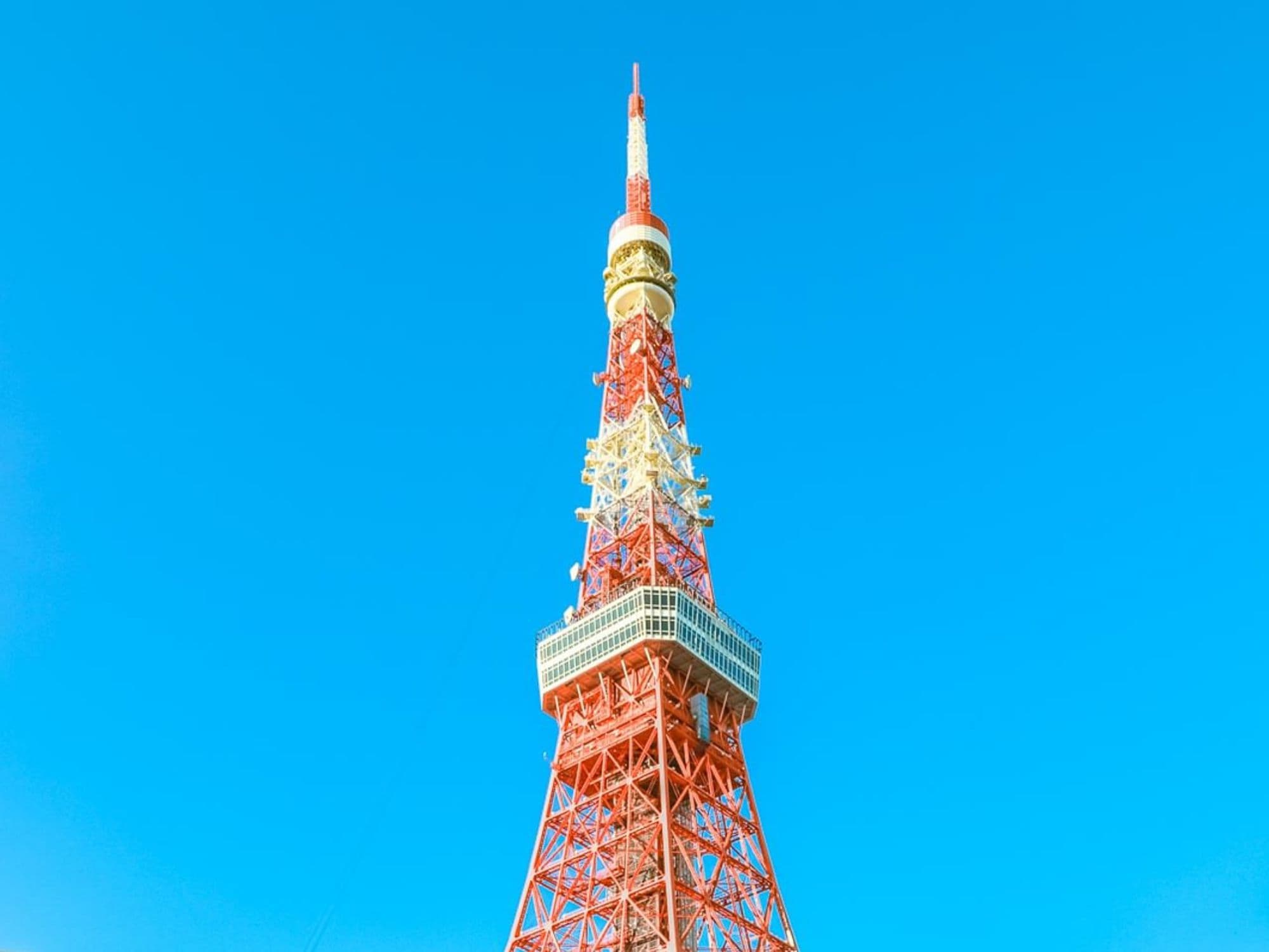 Tokyo Private Day Trip