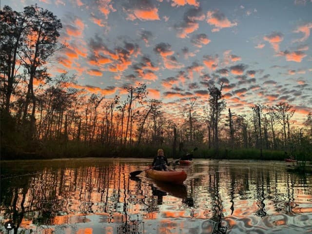 Extended Manchac Kayak Tour | Louisiana