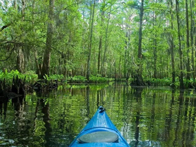Extended Manchac Kayak Tour | Louisiana