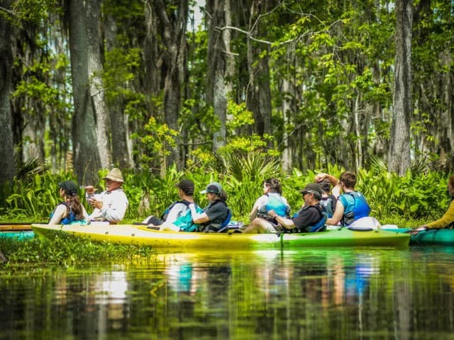 Kayak Swamp and Whitney Plantation Combo Tour | Louisiana