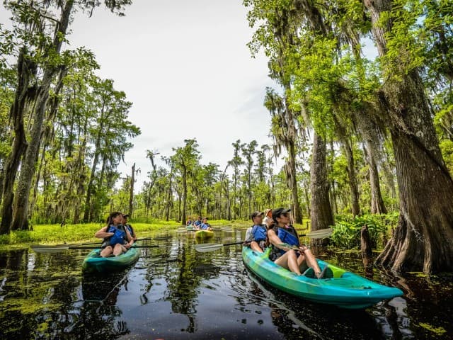 Kayak Swamp and Whitney Plantation Combo Tour | Louisiana