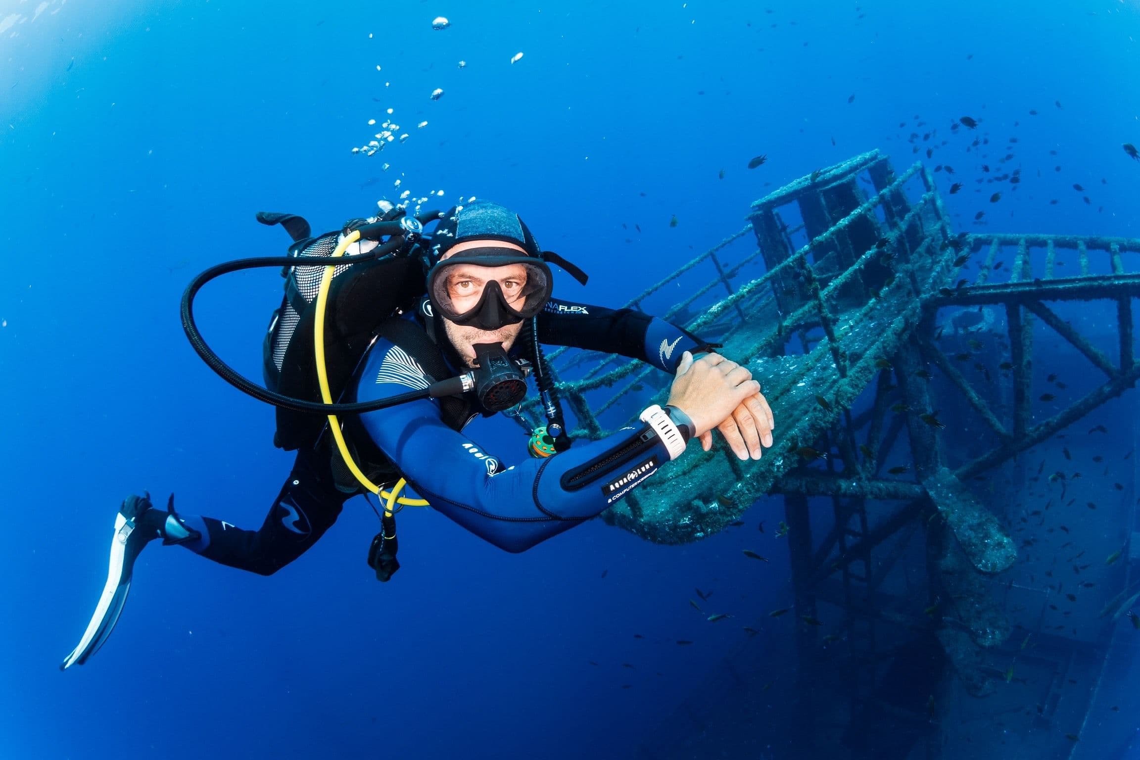 Madeira Corveta Afonso Cerqueira wreck diving 