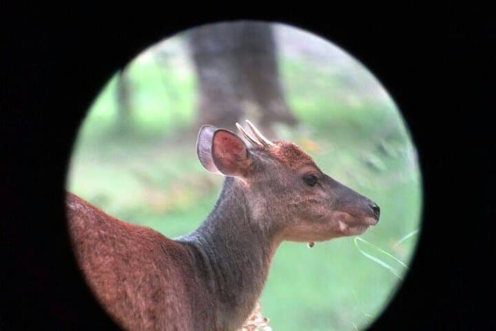 Monteverde Cloud Forest Nature Tour