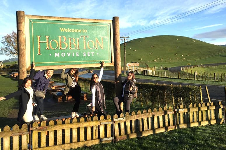 Auckland to Rotorua via Hobbiton Small Group Tour (One Way)