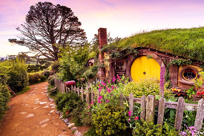 Auckland to Rotorua via Hobbiton Small Group Tour (One Way)