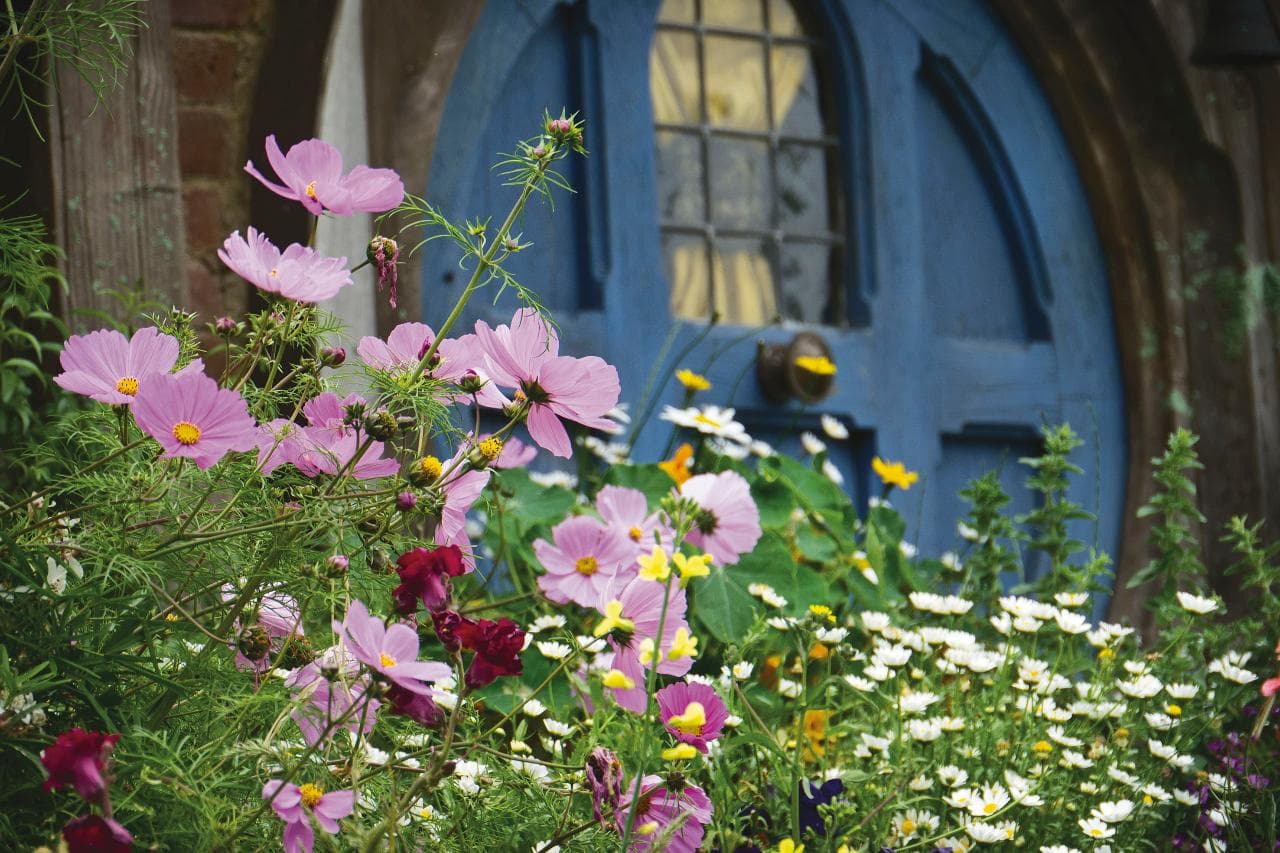 Auckland to Rotorua via Hobbiton Small Group Tour incl. Wai O Tapu