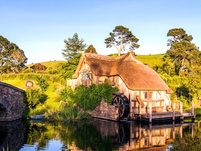 Auckland to Rotorua via Hobbiton Small Group Tour (One Way)