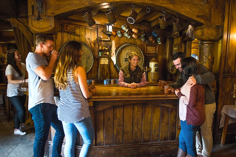 Auckland to Rotorua via Hobbiton Small Group Tour (One Way)