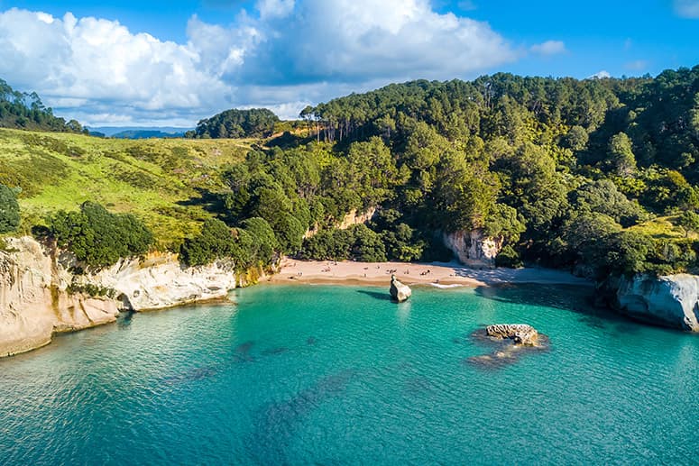 Cathedral Cove, Hot Water Beach & Coromandel Small Group Day Tour from Auckland
