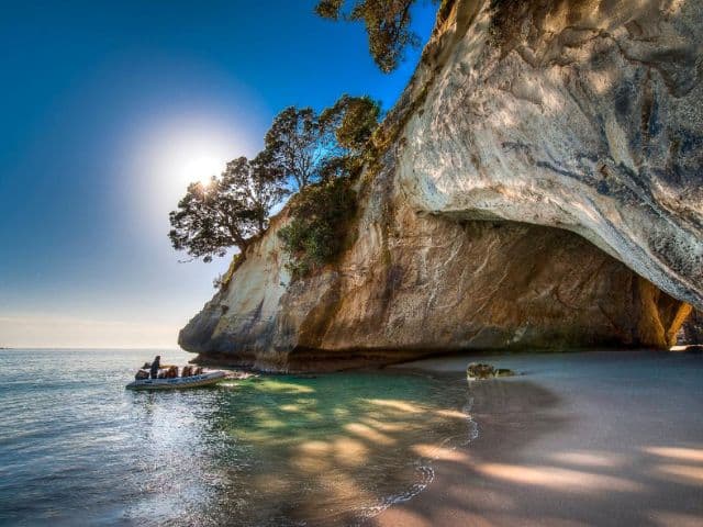 Cathedral Cove, Hot Water Beach & Coromandel Small Group Day Tour from Auckland