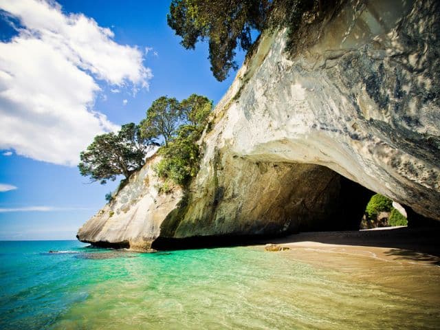 Cathedral Cove, Hot Water Beach & Coromandel Small Group Day Tour from Auckland