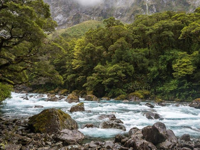 Premium Milford Sound Small Group Tour & Flight from Queenstown