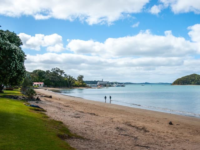 Auckland to Paihia via West Coast One Way