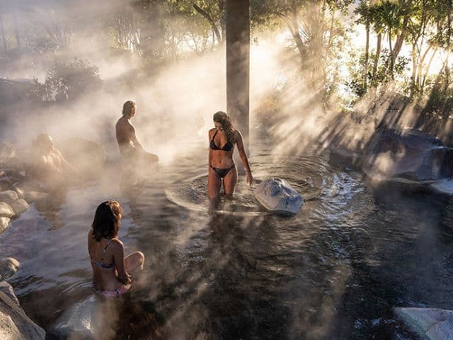 Rotorua Highlights incl. Te Puia & Polynesian Spa Small Group Tour from Auckland