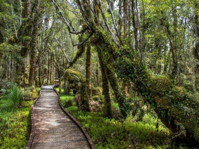 Franz Josef to Queenstown via Wanaka Small Group Tour (One Way)