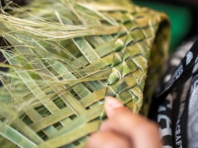 Rotorua Highlights Tour including Te Puia Tour, Cultural Show & Buffet Lunch from Auckland