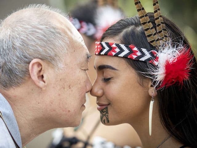 Rotorua Highlights Tour including Te Puia Tour, Cultural Show & Buffet Lunch from Auckland