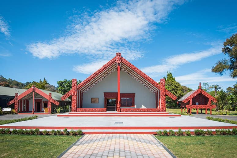 Rotorua Highlights including Te Puia & Redwoods Treewalk Small Group Tour from Auckland