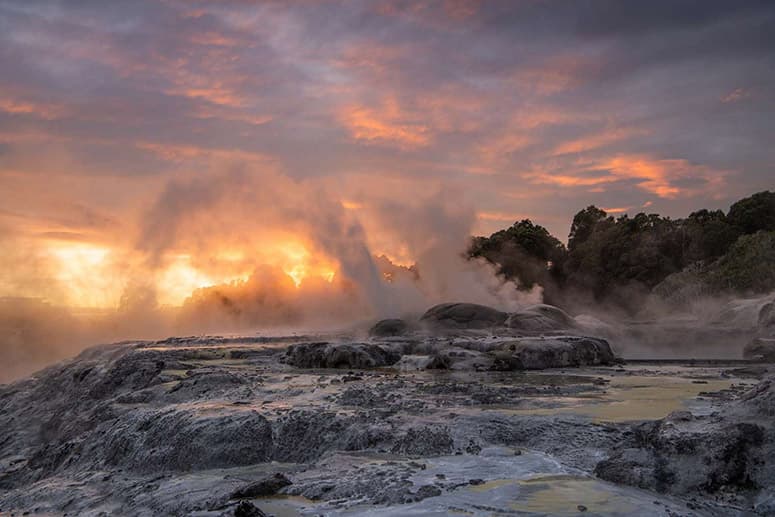Rotorua Highlights Tour including Te Puia Tour, Cultural Show & Buffet Lunch from Auckland