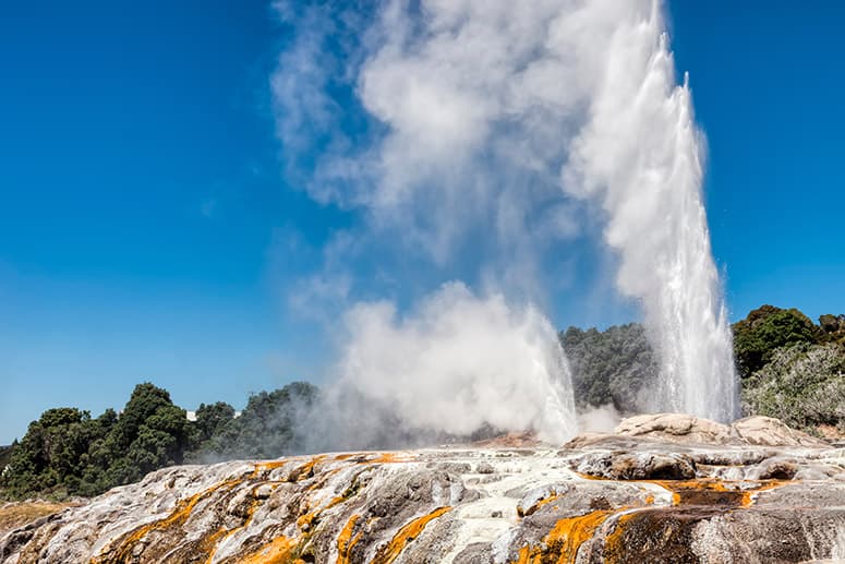 Rotorua Highlights incl. Te Puia & Polynesian Spa Small Group Tour from Auckland