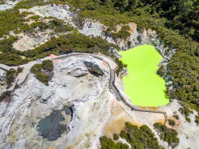 Rotorua Highlights Tour including Wai-O-Tapu & Redwoods Treewalk