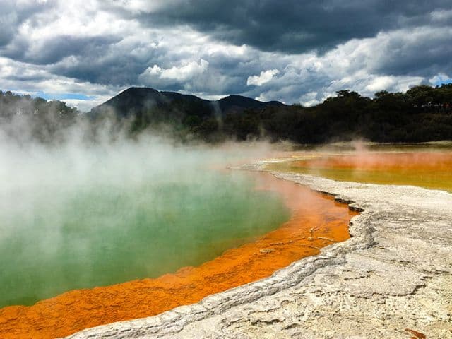 Rotorua Highlights Tour including Wai-O-Tapu & Redwoods Treewalk