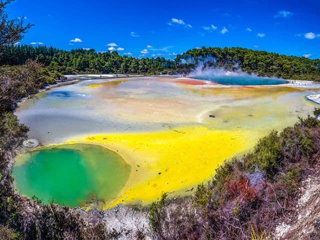 Rotorua Highlights Tour including Wai-O-Tapu & Redwoods Treewalk