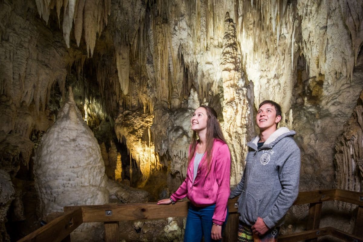 Hobbiton & Waitomo Caves Small Group Tour from Auckland including Lunch