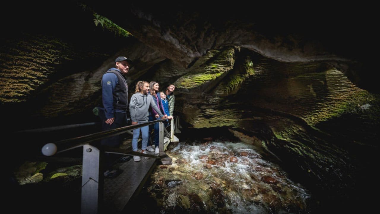 Auckland to Rotorua via Waitomo Caves Small Group Tour (One Way)