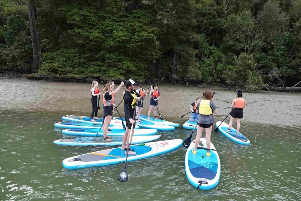 Stand-Up Paddle Boarding Tour to Lucas Creek Waterfall | Auckland