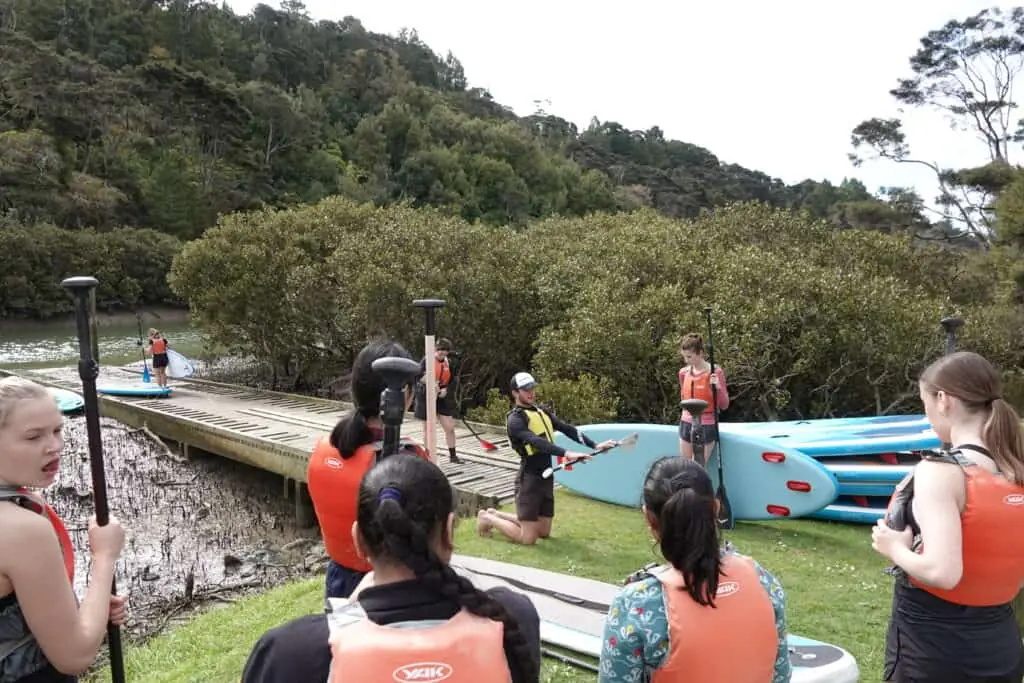 Stand-Up Paddle Boarding Tour to Lucas Creek Waterfall | Auckland