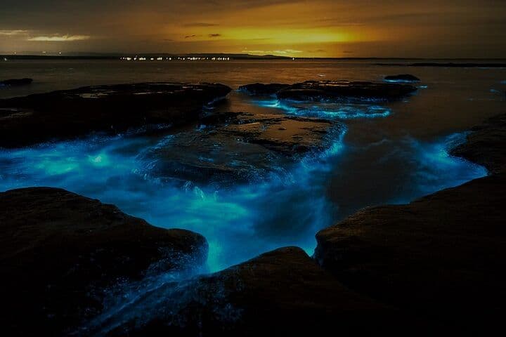 Auckland Bioluminescence Kayak Tour - Waiake Beach