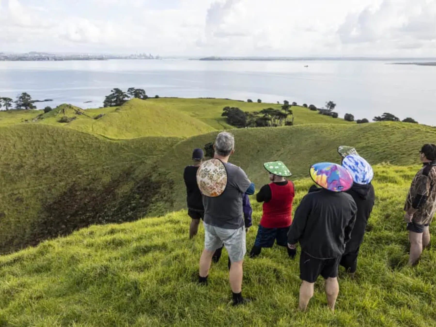 Browns Island Motukorea Sea Kayak Tour | Auckland