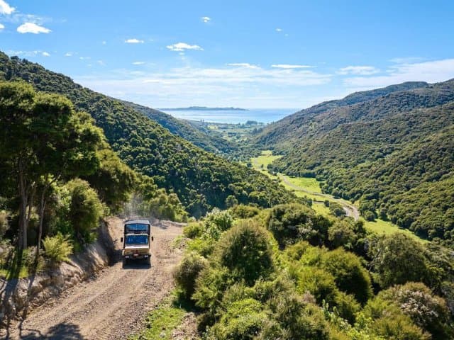 Kaikōura Ziplining & Native forest trail