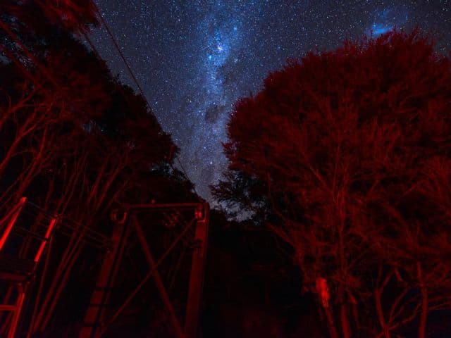 Star Flight Zipline & Star Gazing Experience| Kaikoura