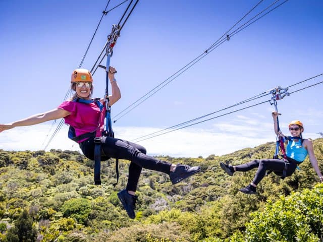 Zip, Wine and Dine | Waiheke Island, Auckland