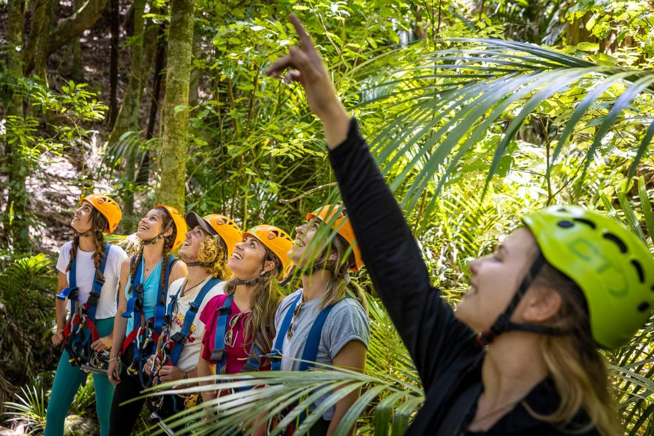 Zip, Wine and Dine | Waiheke Island, Auckland