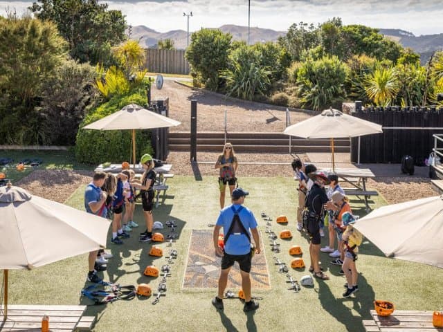 Waiheke Island Ziplining & forest walk tour