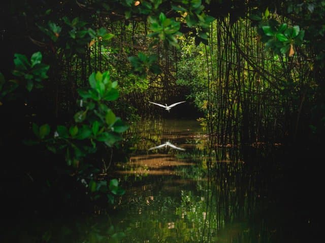 Conservation volunteer along the Oaxaca Coast