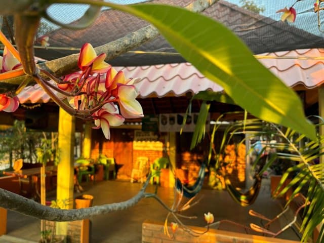 Conservation volunteer along the Oaxaca Coast