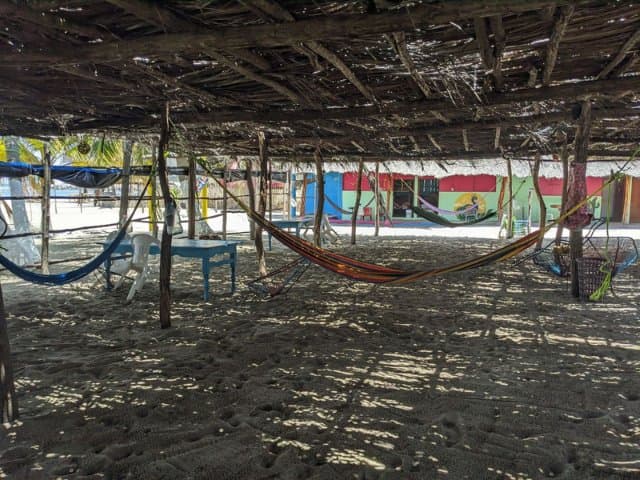 Conservation volunteer along the Oaxaca Coast