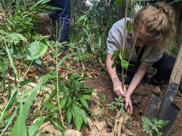 Conservation volunteer along the Oaxaca Coast