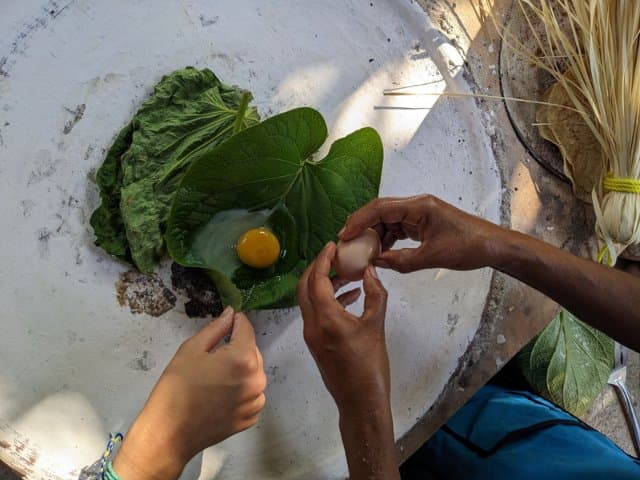 Conservation volunteer along the Oaxaca Coast