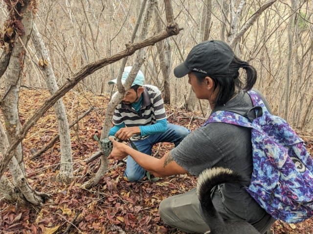 Conservation volunteer along the Oaxaca Coast