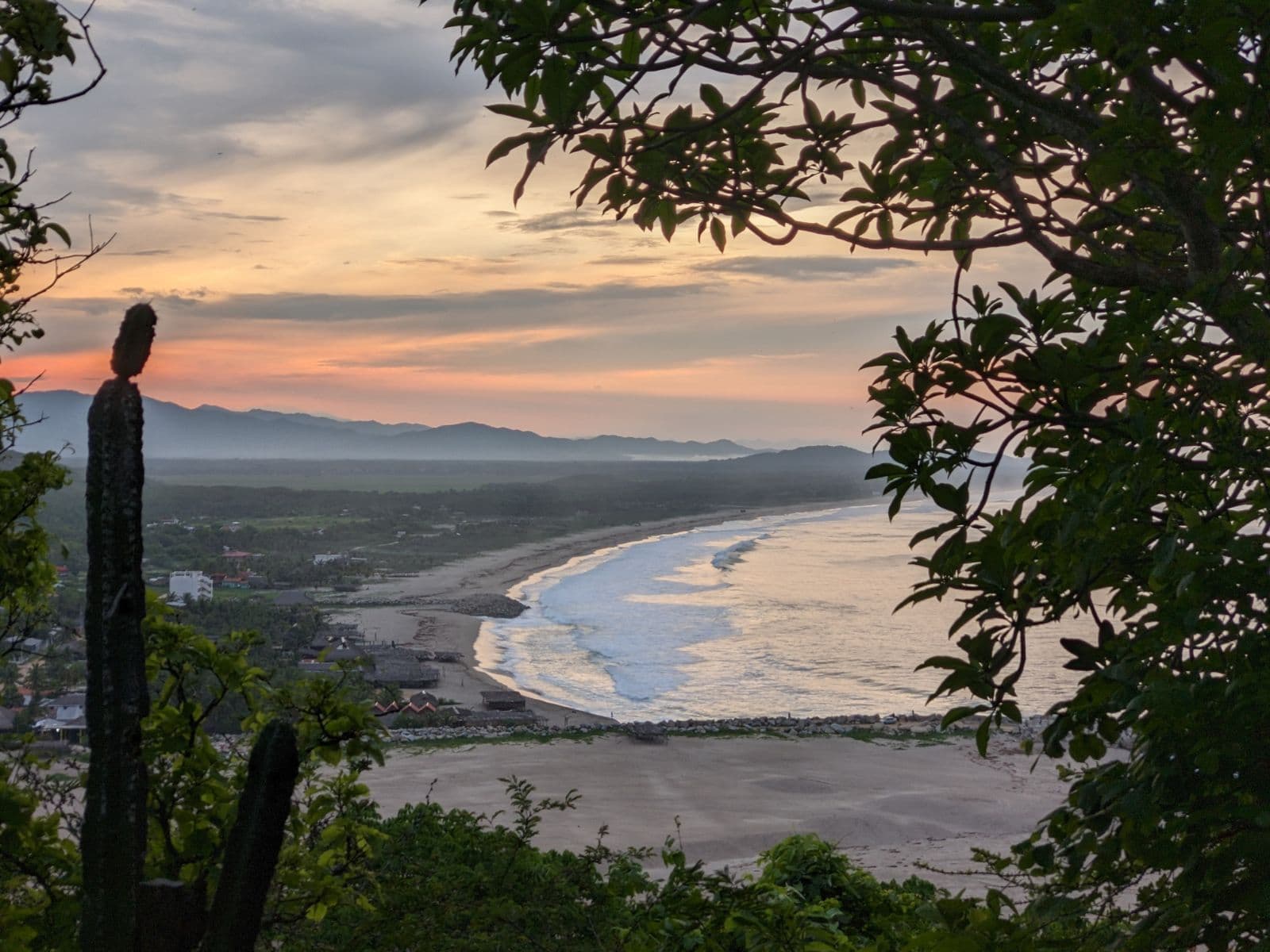 Conservation volunteer along the Oaxaca Coast