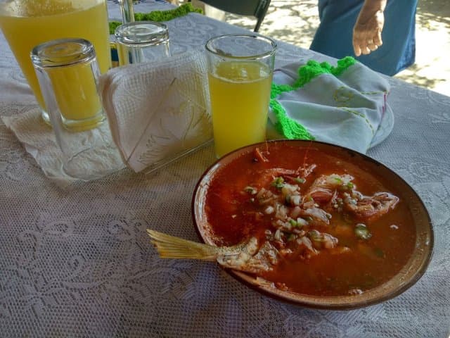 Conservation volunteer along the Oaxaca Coast